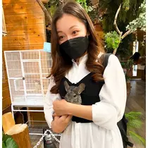 りん