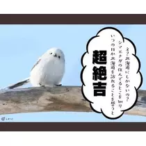 ひな