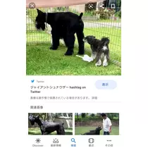 のはら かすみ