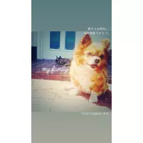 一咲 エム