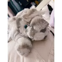 せいな