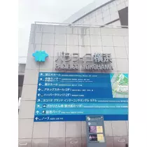 かれん