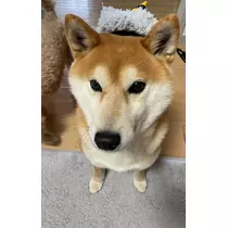 みり