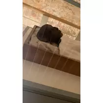 りょう