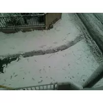 愛羽 仁美