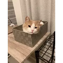 ハルカ