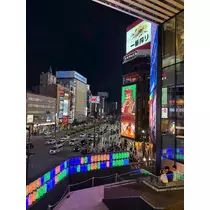 芹沢 莉瀬
