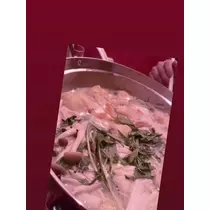 七星 夏純