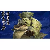 ツンデレかなの