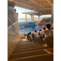 しゅり