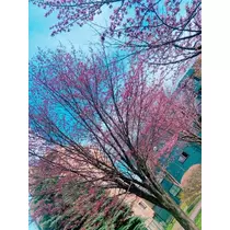 柊 まりん