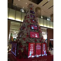 蓮見 リア