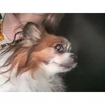 あいら