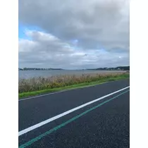 響