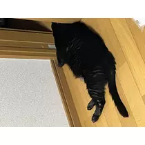 えり