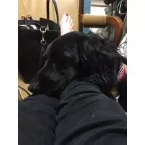 りえ