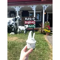 涼夏 みな