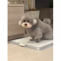うづき ふうか