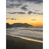 ねお