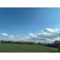 香川 ゆい