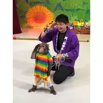 さくら