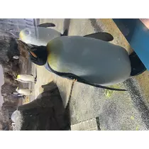 らら