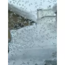 あやの
