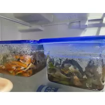 かんな