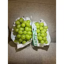 美咲 のばら