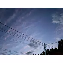 小川 真央