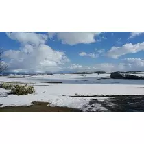 あやの