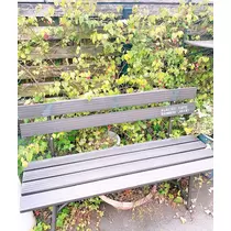 りょう