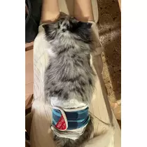 愛羽 仁美