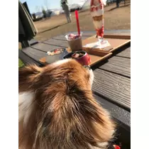 あいら