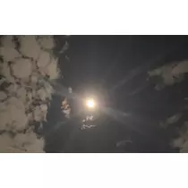りょう