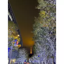 ほのか
