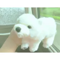 華宮 りりあ