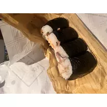 ユメ