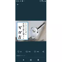 ひな
