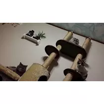 りか