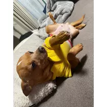ミハル