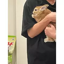 鼻のアナナ（スタッフ）