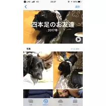 りえ