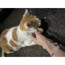 みさ