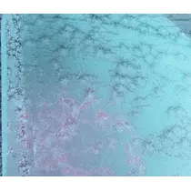 りょう