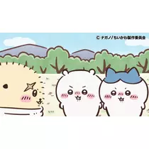 Nao ^._.^