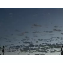 華宮 りんか