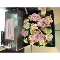 宝條 夏恋