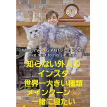 美穂