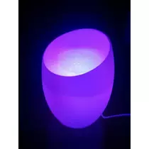 立花 咲